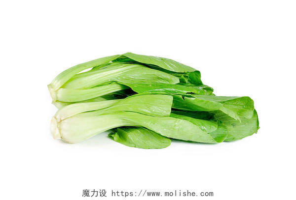 绿色蔬菜新鲜蔬菜油菜食物蔬菜青菜